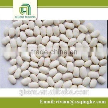 export agriculture product white kidney beans