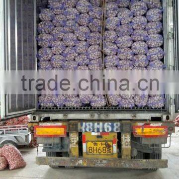 Hot Sale Fresh Chinese Normal White Garlic photo-6