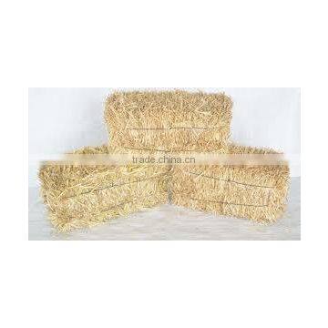 Hay straw bale, cattle feed straw hay, wheat hay bale, straw hay bale, straw hay