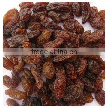 DRY INDUSTRIAL RAISIN FROM INDIA photo-5