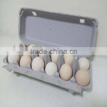Paper Egg Tray