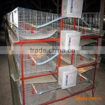 H type chicken cage