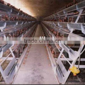Best Selling Quail Cage For Sale in Quail Farm photo-4