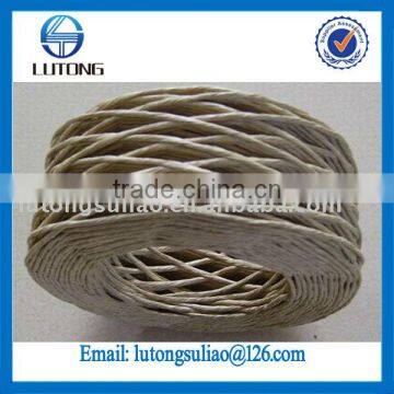 Twisted Paper Twine (in coil)