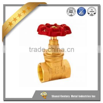 U41S-16C/25 Plunger Globe valve