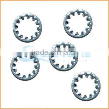 China Professional Manufacturing m6 Lock Washer photo-2