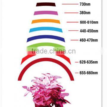 VANQ Cob 30w 50w 100w Horticultural Lamp for Indoor Greenhouse Plant