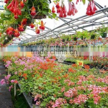 Vegetable Greenhouse Hoop Green House photo-2