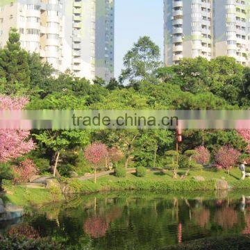 High Simulation Artificial Cherry Blooming Flowering Tree for Outdoor Landscaping photo-3