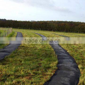 Black Plastic Ground Cover / pp Woven Landscape Fabric / Weed Control Fabric photo-2