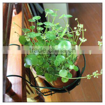 Metal Flower Pot Holder/Hanging Basket/ Flower Pot Rack photo-4