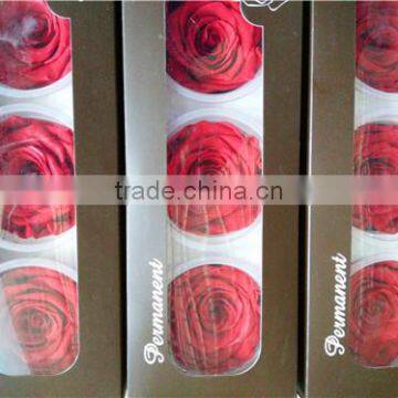 Long lasting good price A grade preserved rose 6-7 cm big bud from Yunnan