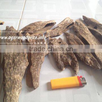 Agarwood chunks supplier