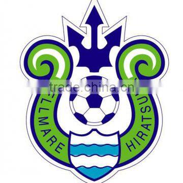 Custom Sport Heat Transfer Sticker/Iron-on Sticker for Jerseys by Heat Transfer Machine photo-6