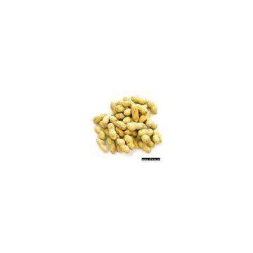 Sell Chinese Peanut Kernels