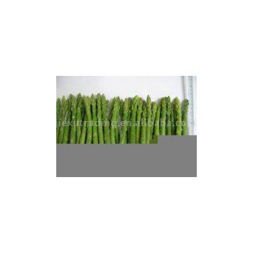 Sell IQF Green Asparagus