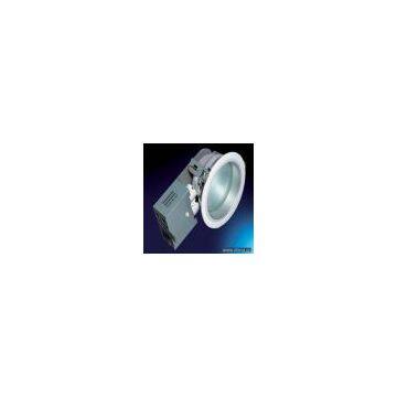 Sell Frost Protected Down Light