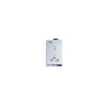 Sell Flue Type Gas Water Heater