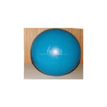 Physio Ball