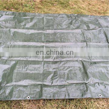 Economy tarps /truck canvas