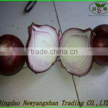 onion, fresh onion, red onion