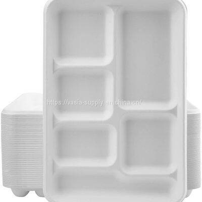Biodegradable disposable lunch tray SUGARCANE Compostable Rectangular takeaway TRAY 6 COMPARTMENT