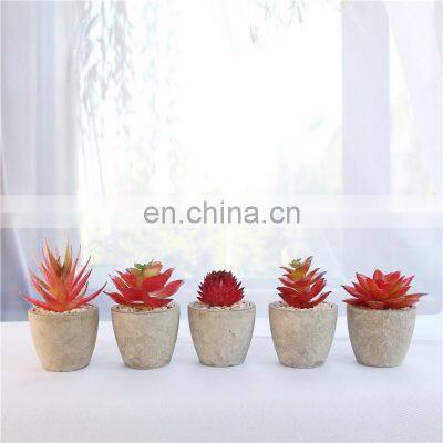 New Arrival Artificial Bonsai Plastic Mini Potted Set Custom Flower Pots And Planters Small Artificial Succulents Plants Potted