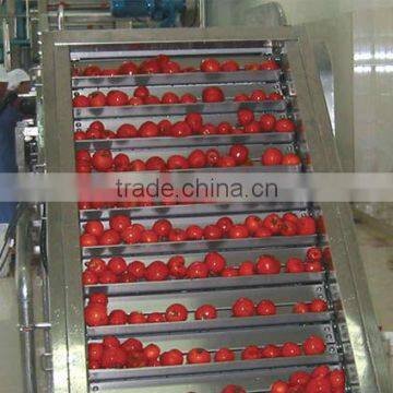 vegetable&fruit elevator/fruit production line