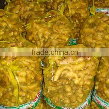 Ginger Rates photo-2