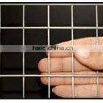 welded wire mesh panel