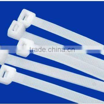 Stainless Steel Metal Pawl Nylon Cable Ties