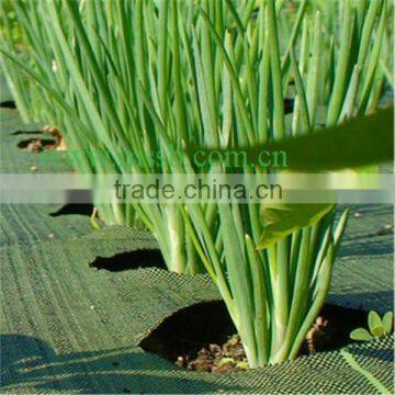 Top Quality PP Woven Weed Control Mat