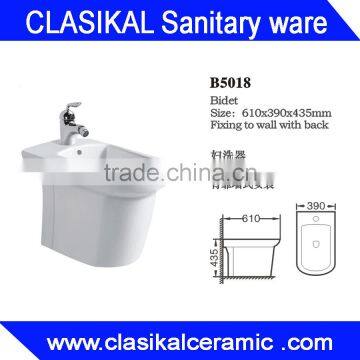 Saudia Arabia Usefull Women White Colored Bidet photo-6