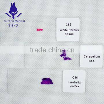 100pcs most popular histology slides