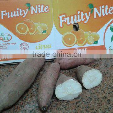 White Sweet Potato