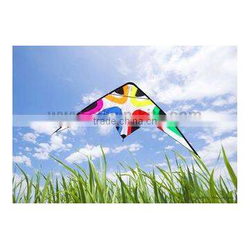 Dual Line Delta Stunt Kites - Curved Edge Kites