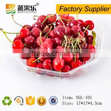 Promotional Transparent Plastic Pet Tray photo-5