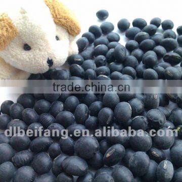 Black Soybean with Green Inside(Heilongjiang origin, 2011 crop ,hps)