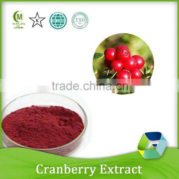 100% natural extracts cranberry extract powder anthocyanidin