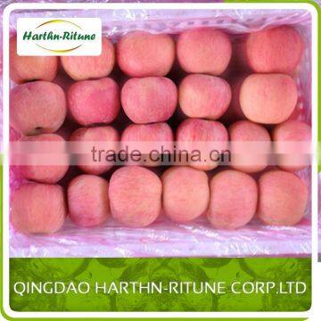 New crop Yantai Grade 1 Apple from China