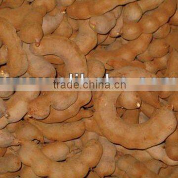 Sweet Tamarind Grade-A Quality