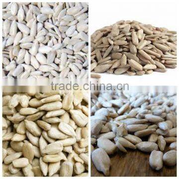 sunflower kernels from factory sunflower seeds without shell