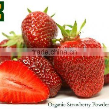 Sell 100% organic Strawberry Powder in 5:1&10:1 with high quality