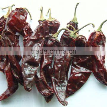 2016 new paprika pods