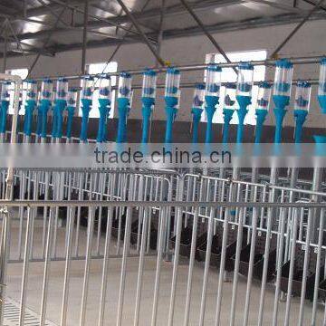 Automatic Pig Feeding system