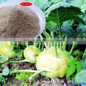 Humic Acid+amino Acid Organic Fertilizer photo-3
