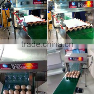 laser date code machine/batch expiry date coding machine/automatic date code printing machine