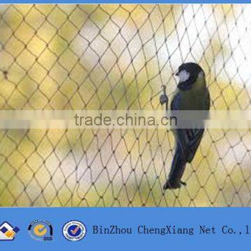 agriculture anti bird net / bird control netting