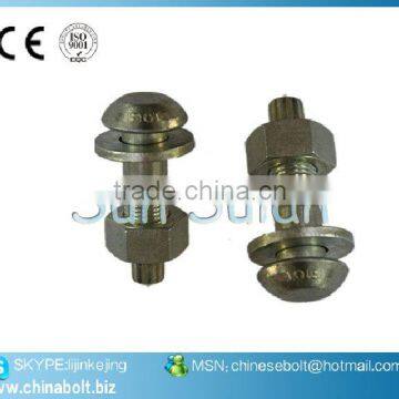 TC Bolt, Round Head Bolt Use for Bridges
