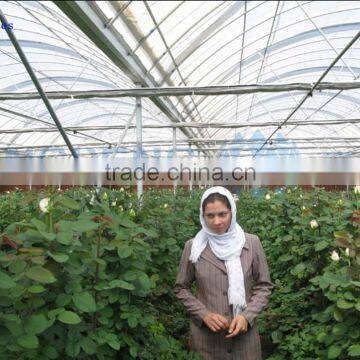 Agricultural Plastic Film Greenhouse With Arch Roof photo-4